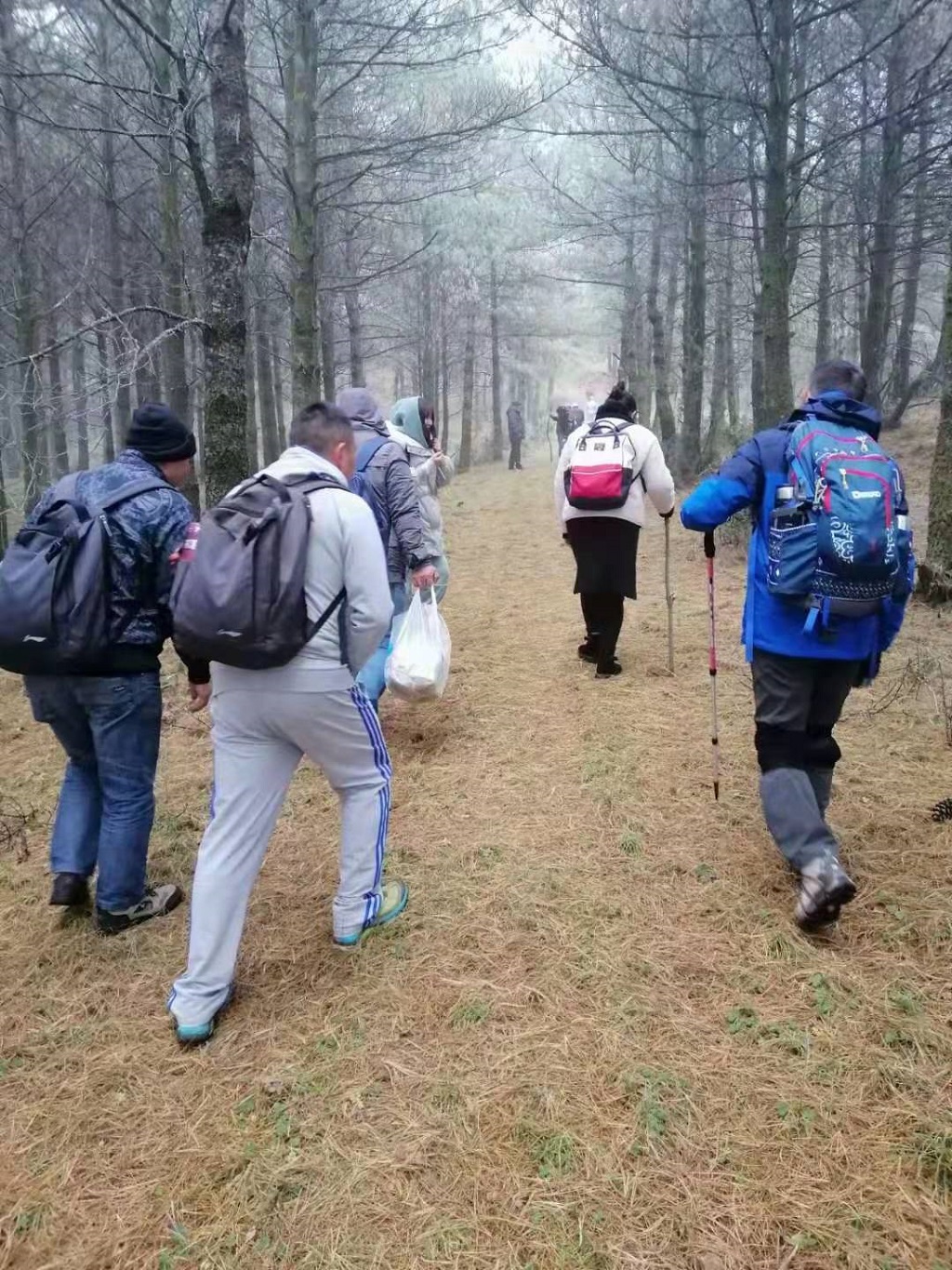 一程风雨一程山水，一树花开一树人间